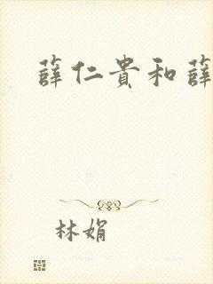 薛仁贵和薛丁山