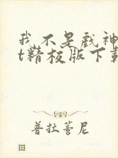 我不是戏神txt精校版下载