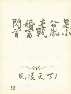 闪婚老公是千亿首富战胤小说