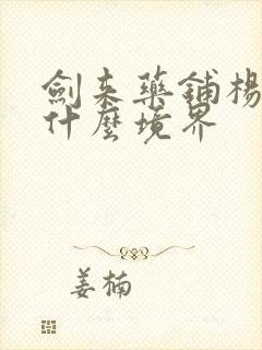 剑来药铺杨老头什么境界