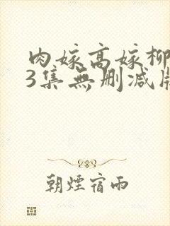 肉嫁高嫁柳嫁家3集无删减版封面