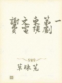 谢文东第一季免费电视剧封面