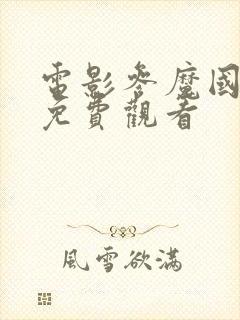 电影参魔国语版免费观看封面