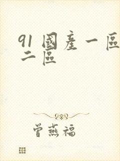 91 国产一区二区