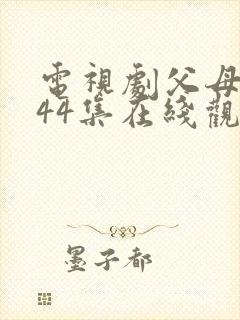 电视剧父母爱情44集在线观看封面