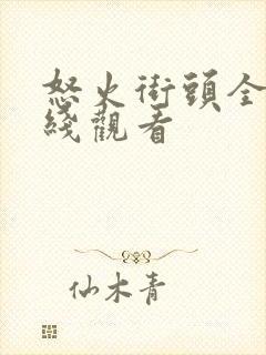 怒火街头全集在线观看封面