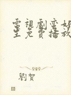 电视剧蛮好的人生免费播放封面