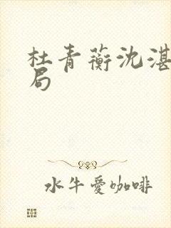 杜青蘅沈湛大结局