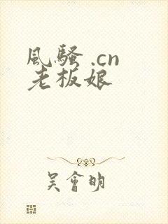 风骚 .cn 老板娘封面