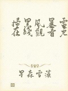 扫黑风暴电视剧在线观看免费完整版下载