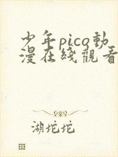 少年pico动漫在线观看完整版免费高清