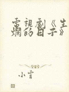 电视剧《生逢灿烂的日子》