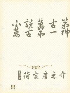 小说万古第一神万古第一神