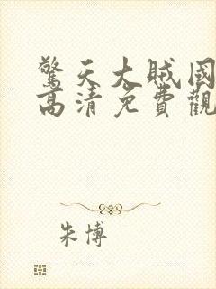 惊天大贼国语版高清免费观看