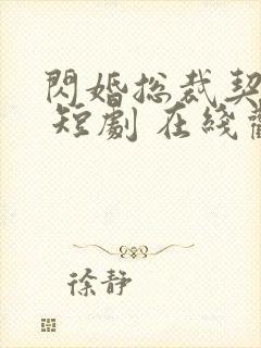 闪婚总裁契约妻 短剧 在线观看