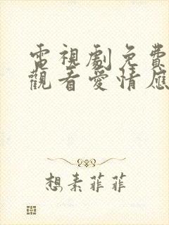 电视剧免费全集观看爱情应该有的样子