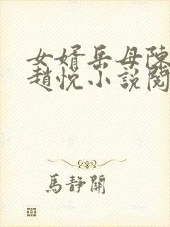 女婿岳母陈超,赵悦小说阅读