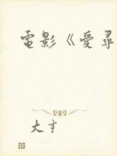 电影《爱寻迷》