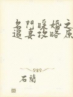 名门暖婚之权爷追妻攻略原著封面