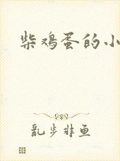 柴鸡蛋的小说