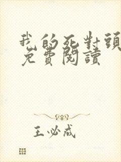 我的死对头小说免费阅读