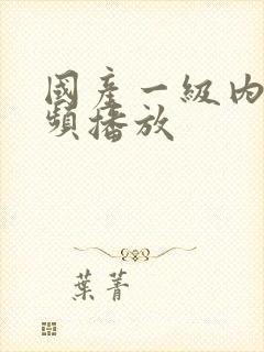 国产一级内射视频播放