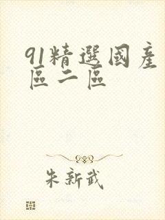 91精选国产一区二区