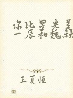 你比星光美丽邵一辰和魏秋子结局