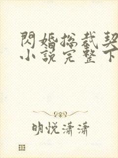 闪婚总裁契约妻小说完整下载