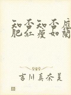 知否知否应是绿肥红瘦如兰嫁给了谁封面