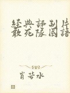 经典译制片野鹅敢死队国语配音