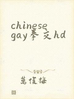 chinesegay拳交hd