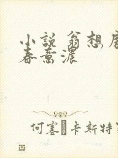 小说 翁想房中春意浓