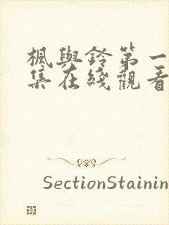 枫与铃第一季第集在线观看樱花动漫封面