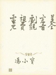 电视剧完美的他免费观看全集