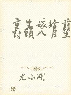 重生嫁给前夫死对头八月笙