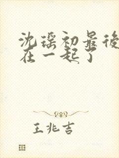 沈瑶初最后和谁在一起了