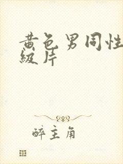 黄色男同性恋一级片封面