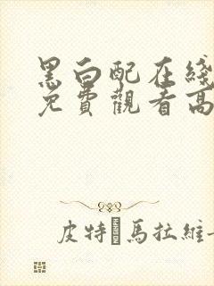 黑白配在线播放免费观看高清国语