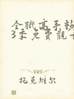 全职高手动漫第3季免费观看