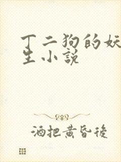 丁二狗的妖孽人生小说