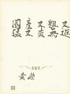 国产又粗又黄又猛又爽无遮挡封面