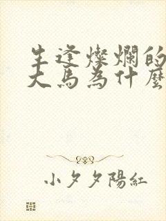 生逢灿烂的日子大马为什么二进宫