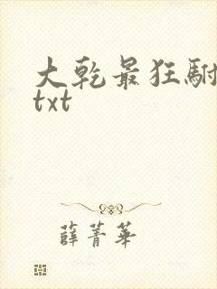 大乾最狂驸马爷txt