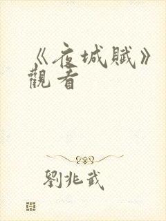 《夜城赋》免费观看封面