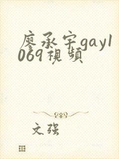 廖承宇gay1069视频