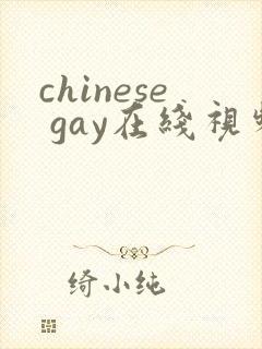 chinese gay在线视频