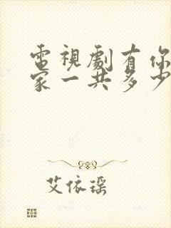 电视剧有你才有家一共多少集封面