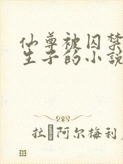 仙尊被囚禁改造生子的小说