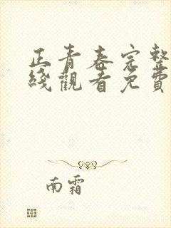 正青春完整版在线观看免费